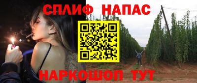 прущие грибы Будённовск