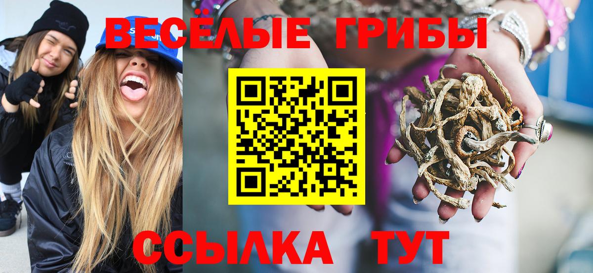Галлюциногенные грибы Psilocybine cubensis Мценск