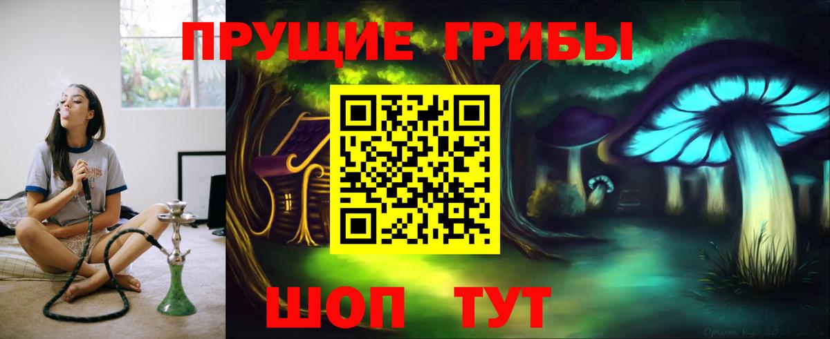 Мценск  Галлюциногенные грибы Psilocybine cubensis  сколько стоит  Вход с VPN 